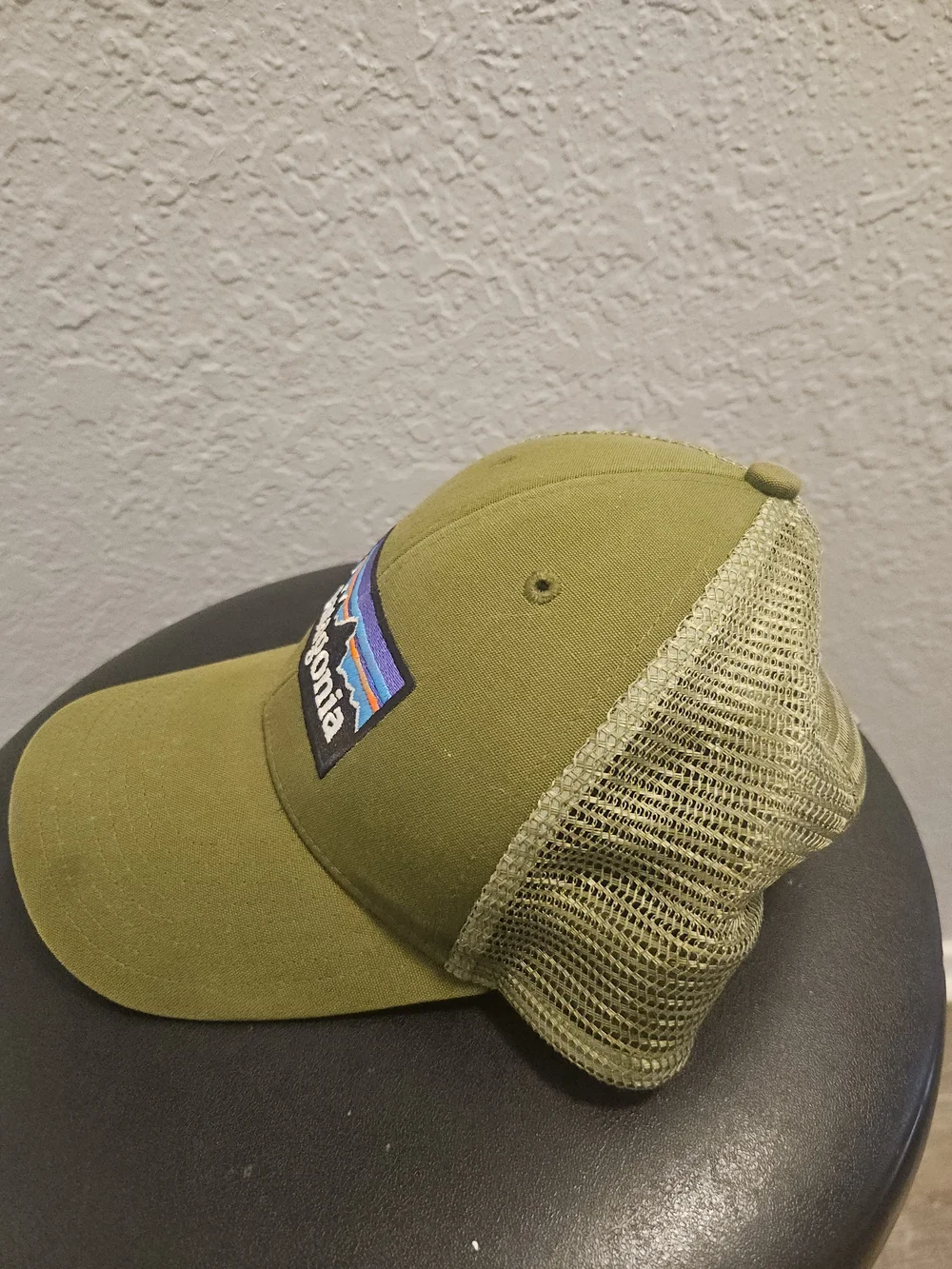Patagonia Olive Green Trucker Hat